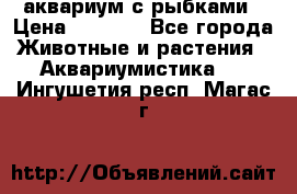 аквариум с рыбками › Цена ­ 1 000 - Все города Животные и растения » Аквариумистика   . Ингушетия респ.,Магас г.